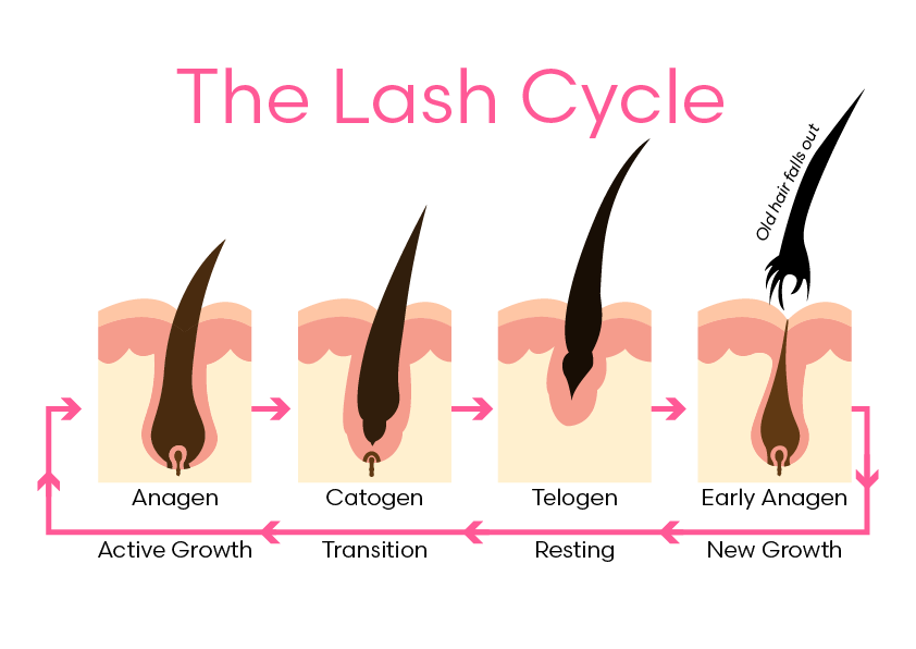 Lash Extension Services at Suzie Q's Salon Wangaratta